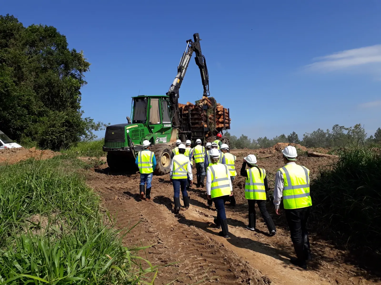 Forwarder — Forwarder carregando toras em campo